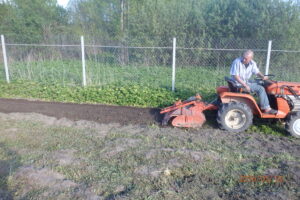 Limpieza, arado de la parcela con un minitractor Kubota 7001/1200 DT