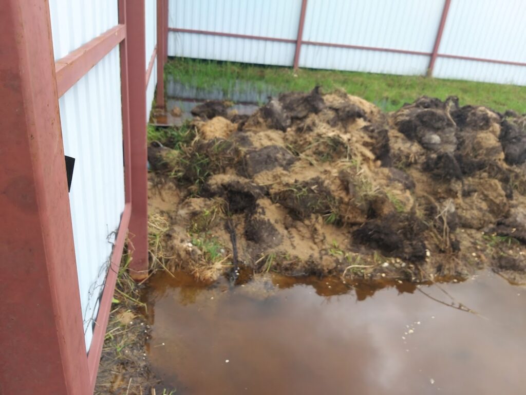 Устройство дренажа на участке с высокими грунтовыми водами