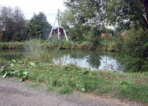 pond to clear, at land site