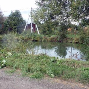 pond to clear, at land site