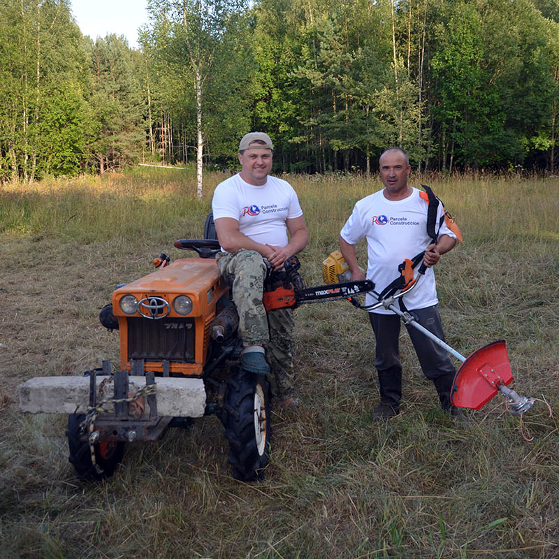 Clearing a land plot