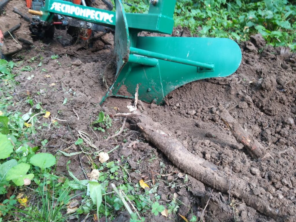 Plow for cuttting roots