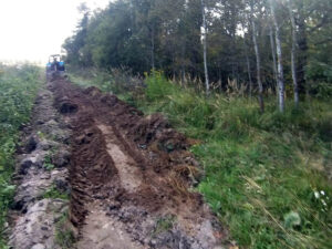 Plowing a mineralized strip along the forest border