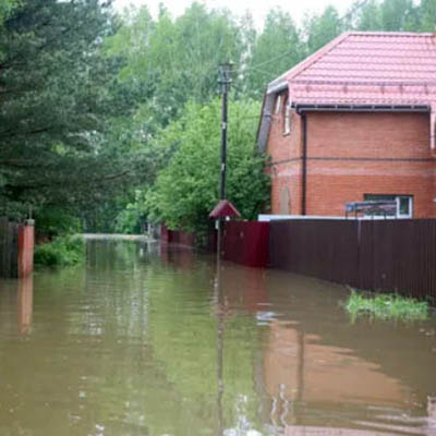 Disinfection of houses and buildings after a flood