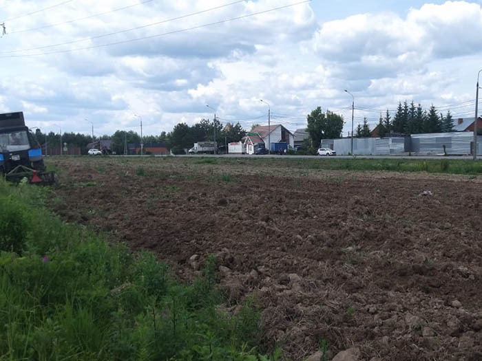 уничтожение борщевика Сосновского результат работы