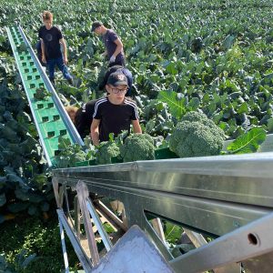 Order a turnkey plant farm project