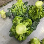 broccoli quality