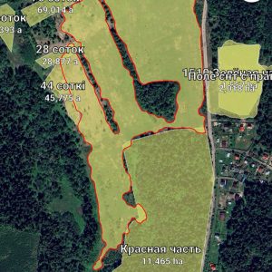 What is an eco-farm and how to start organic farming