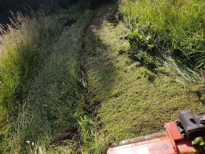 Cortar césped verde para fertilizante
