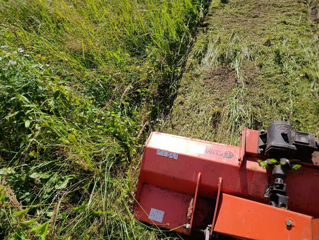The mulcher leaves a strip of chopped grass and small shrubs - like green manure