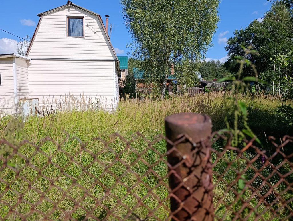 view of the area before clearing the grass