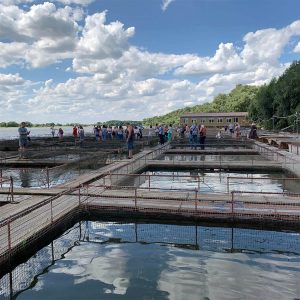 Granja de esturiones "astrakhan fishka"
