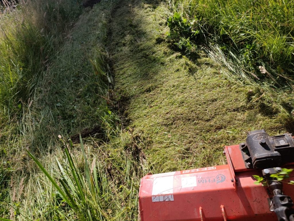 Hierba triturada como fertilizante y preparación para arar el jardín.