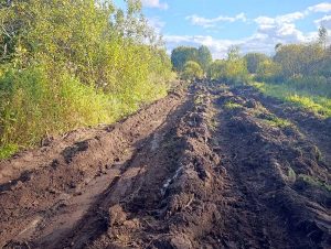 Resultado de las obras de protección contra incendios
