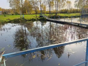 Photo of the lake's footbridge - dredging and clearing the lake of vegetation
