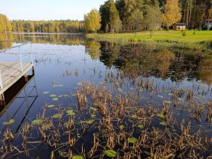 El estado del agua del lago se determina visualmente y se realizan pruebas de agua