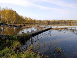 Un lago que necesita ser limpiado con una superficie de 2.000 metros cuadrados