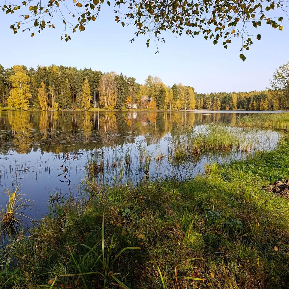 Lago que necesita ser limpiado