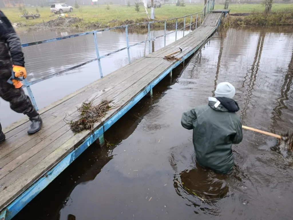 Limpar um lago de vegetação excessiva