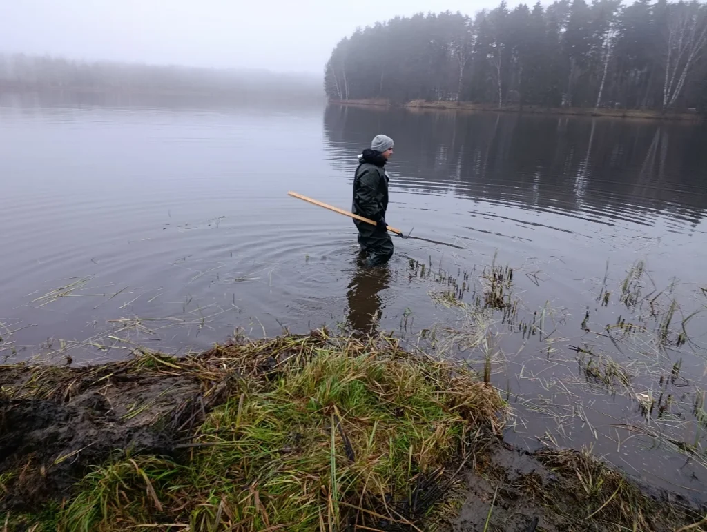 a man in a wetsuit with a special scythe for reeds