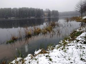 Lake vegetation in the coastal area of ​​the beach must be removed.