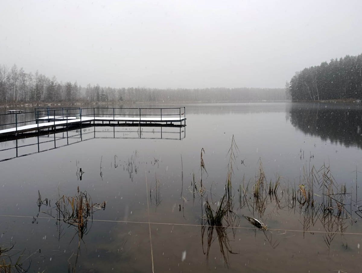 Survey of the lake's flora and fauna to evaluate cleanup and restoration efforts
