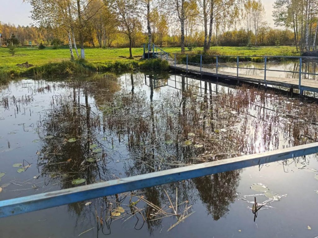 Limpieza del lago del crecimiento excesivo de plantas acuáticas y algas en la zona de baño