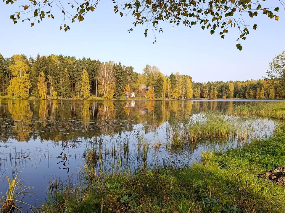 O lago precisa ser limpo nas margens e na área aquática – remova o excesso de vegetação e detritos
