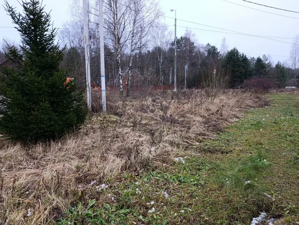 uma área com grama seca e propensa a incêndios